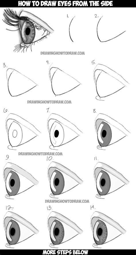 step by step pencil sketches.
